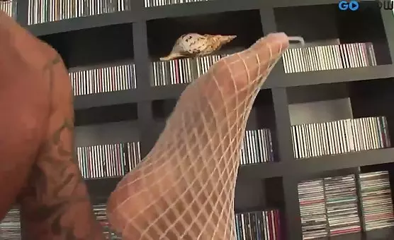 Threesome Anal Encounters with Fishnet Fantasies